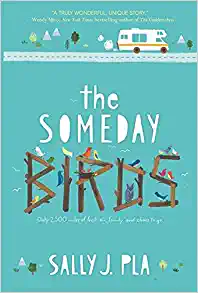 The Someday Birds book cover