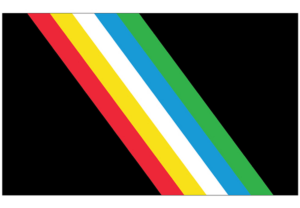 Image description of the Disability Pride Flag: Black background with 5 colored bands running diagonally from top left corner to bottom right corner. The colored bands from the bottom are: Red - Physical disabilities, Gold or yellow - Neurodiversity & Cognitive and intellectual disabilities, White - Non-visible and undiagnosed disabilities, Blue - Psychiatric disabilities, including mental illness, anxiety, and depression, Green - Sensory disabilities